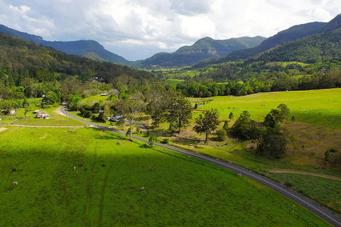 Natural Bridge & Springbrook Waterfalls Tour - Hervey Bay Accommodation 2