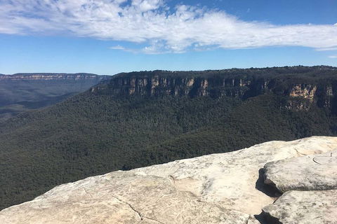 The Explorers' Discovery Tour - Gold, Wine & Wildlife - Hervey Bay Accommodation 1