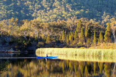 The Explorers' Discovery Tour - Gold, Wine & Wildlife - Hervey Bay Accommodation 2
