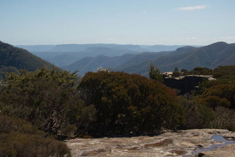 The Explorers' Discovery Tour - Gold, Wine & Wildlife - Hervey Bay Accommodation 3