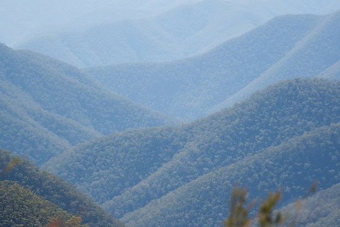 From The Mountains To The Bay - 4 Day Rediscovery Private Tour - Hervey Bay Accommodation 1