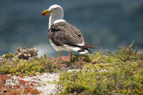 From The Mountains To The Bay - 4 Day Rediscovery Small Group Tour - Hervey Bay Accommodation 1