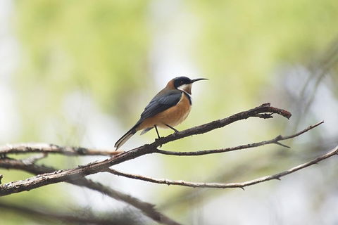 Private Blue Mountains Insider Tour From Sydney - Tourism Hervey Bay 2