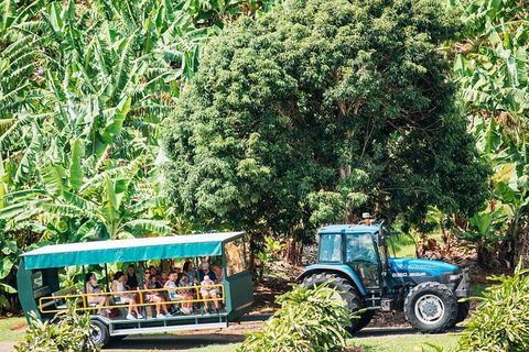 Northern Rivers Full Day Wine Tour - Hervey Bay Accommodation 1