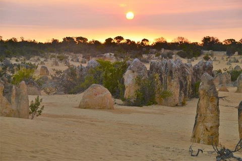 Pinnacle Desert Sunset And Stargazing With Dinner - Hervey Bay Accommodation 5