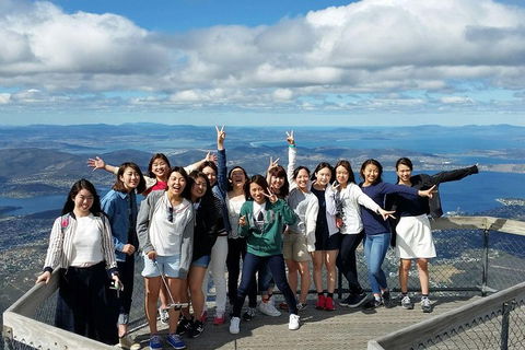 Mt Field National Park Active Day-Trip Including Bonorong And Mt Wellington - Tourism Hervey Bay 2