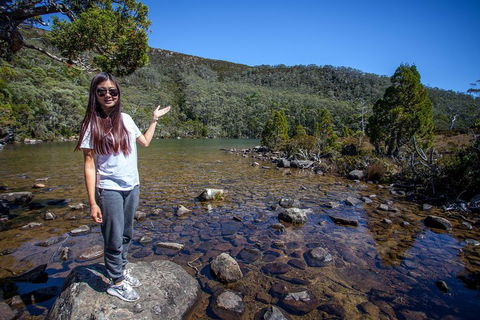 Mt Field National Park Active Day-Trip Including Bonorong And Mt Wellington - Tourism Hervey Bay 4