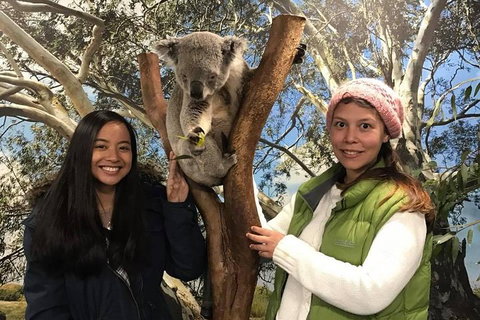 The Ultimate Sydney Attractions Pass - Hervey Bay Accommodation 1