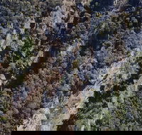 Leven Canyon Day Trip Including Wings Wildlife Park or Gunns Plains Caves - Hervey Bay Accommodation