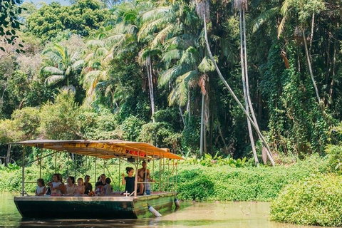 Tropical Fruit World Farm Full Tour - Hervey Bay Accommodation 0