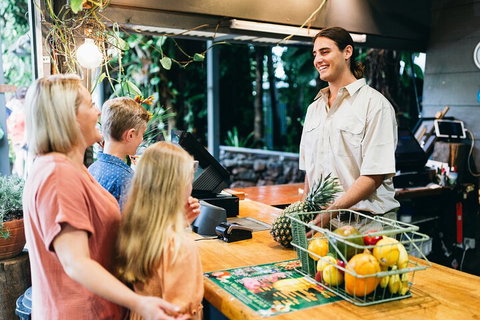 Tropical Fruit World Farm Full Tour - Hervey Bay Accommodation 2