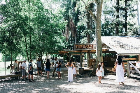 Tropical Fruit World Farm Full Tour - Hervey Bay Accommodation 3