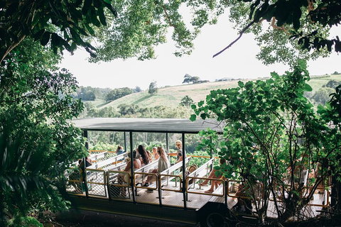 Tropical Fruit World Farm Full Tour - Hervey Bay Accommodation 4