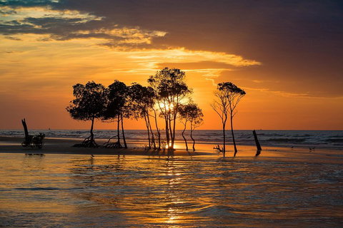 Delightful Darwin Self-Guided Audio Tour - Tourism Hervey Bay 3