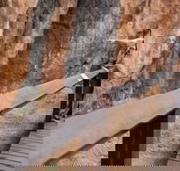 Chillagoe Caves and Outback Day Trip from Cairns - Hervey Bay Accommodation