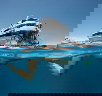 3 Day Great Barrier Reef Daintree Rainforest and Outback Chillagoe Tour - Hervey Bay Accommodation