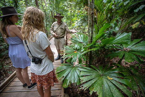 2 Day Daintree Rainforest, Cape Tribulation And Outback Chillagoe Tour - Hervey Bay Accommodation 2