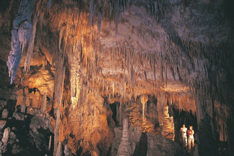 4 Day Tour: Albany, Margaret River, Valley Of The Giants TreeTop Walk From Perth - Hervey Bay Accommodation 1