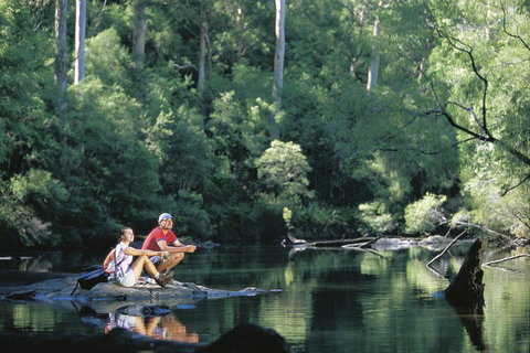 4 Day Tour: Albany, Margaret River, Valley Of The Giants TreeTop Walk From Perth - Hervey Bay Accommodation 3