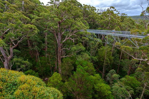 4 Day Tour: Albany, Margaret River, Valley Of The Giants TreeTop Walk From Perth - Hervey Bay Accommodation 4