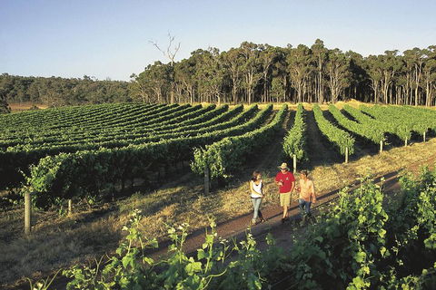 Margaret River, Caves, Wine And Cape Leeuwin Lighthouse Tour From Perth - Tourism Hervey Bay 1