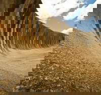 Wave Rock York Wildflowers and Aboriginal Cultural Day Tour from Perth - Hervey Bay Accommodation