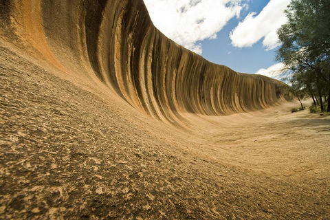 Wave Rock, York, Wildflowers, And Aboriginal Cultural Day Tour From Perth - Tourism Hervey Bay 0