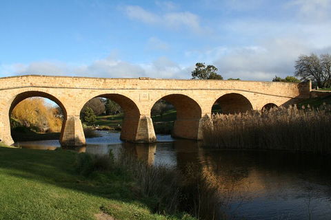 Mt. Wellington, Bonorong And Richmond Day Tour From Hobart - Tourism Hervey Bay 4