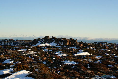 Mt. Wellington, Bonorong And Richmond Day Tour From Hobart - Tourism Hervey Bay 5