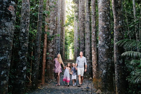 The Original Day Tour To Paronella Park, Lake Barrine And Millaa Millaa Falls - Hervey Bay Accommodation 1