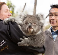 Bonorong Wildlife Park and Richmond Afternoon Tour from Hobart - Hervey Bay Accommodation
