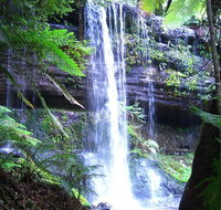 Mt Field National Park and Russell Falls from Hobart - Hervey Bay Accommodation
