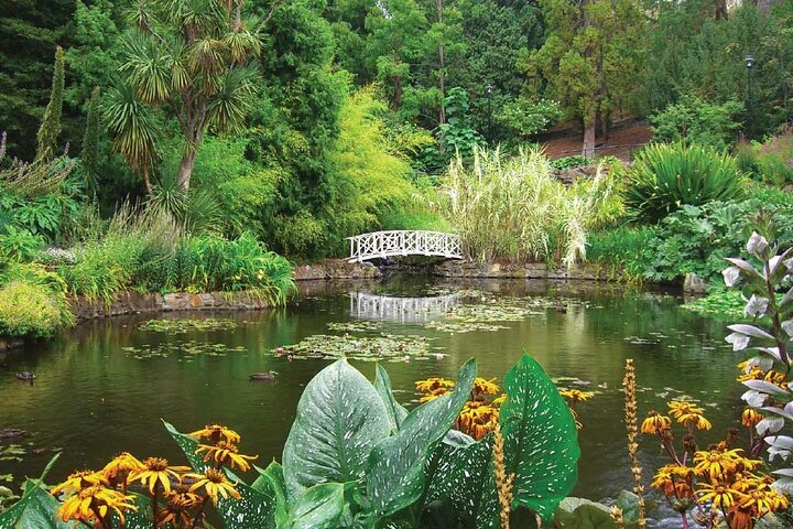 Hervey Bay Accommodation