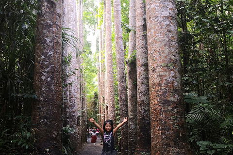 Private Tour To Paronella Park, Historic Village Herberton And Wild Life Wallaby - Hervey Bay Accommodation 2
