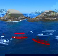 3-Hour Byron Bay Certified Scuba Diving Tour - Hervey Bay Accommodation
