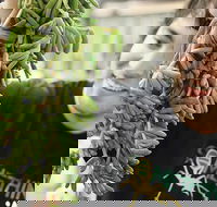 Small-Group Adelaide Central Market Early Breakfast Tour - Tourism Hervey Bay