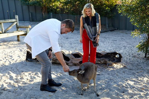 Albany's Whale Story - Hervey Bay Accommodation 1
