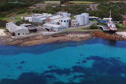Albany's Whale Story - Hervey Bay Accommodation 4