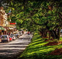 Fully Inclusive Blue Mountains Private Tour inc Scenic World  Featherdale entry - Hervey Bay Accommodation