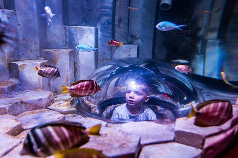 Melbourne BIG Ticket - LEGOLAND Discovery And SEA LIFE Melbourne - Tourism Hervey Bay 5