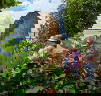 3 Day Cape Tribulation  Cooktown Tour from Cairns or Port Douglas - Hervey Bay Accommodation