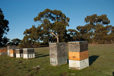 Fine Flavours - Full Day Kangaroo Island Food & Wine Tour - Hervey Bay Accommodation 1