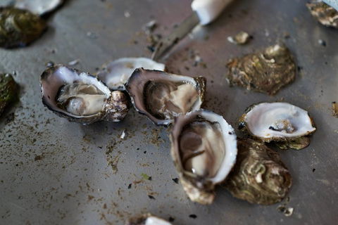 Fine Flavours - Full Day Kangaroo Island Food & Wine Tour - Hervey Bay Accommodation 2