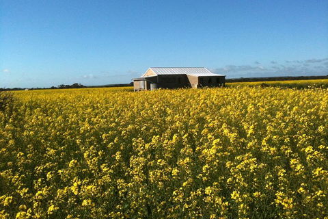 Fine Flavours - Full Day Kangaroo Island Food & Wine Tour - Hervey Bay Accommodation 3