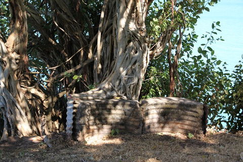 Darwin Walking Tour: World War II Reflections - Hervey Bay Accommodation 3