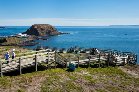 Melbourne Combo: Great Ocean Road, Puffing Billy, Moonlit Sanctuary & Penguins - Tourism Hervey Bay 5