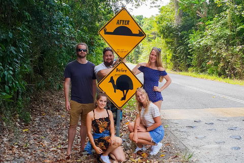 Cape Tribulation, Daintree Rainforest And Wildlife Tour - Hervey Bay Accommodation 0