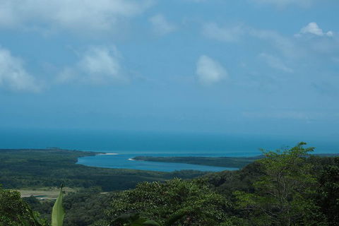 Cape Tribulation, Daintree Rainforest And Wildlife Tour - Hervey Bay Accommodation 1
