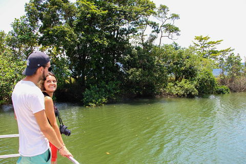 Cape Tribulation, Daintree Rainforest And Wildlife Tour - Hervey Bay Accommodation 2