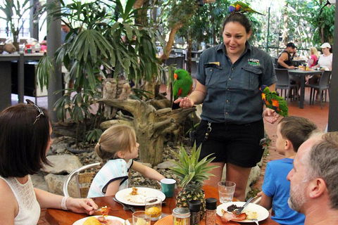 Wildlife Habitat Port Douglas - Hervey Bay Accommodation 2